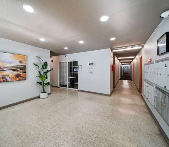 A long hallway with a plant and artwork on the wall.