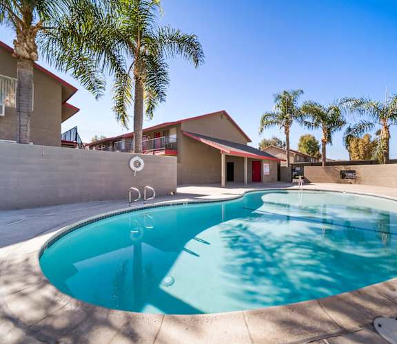 A swimming pool in a residential area with palm trees.