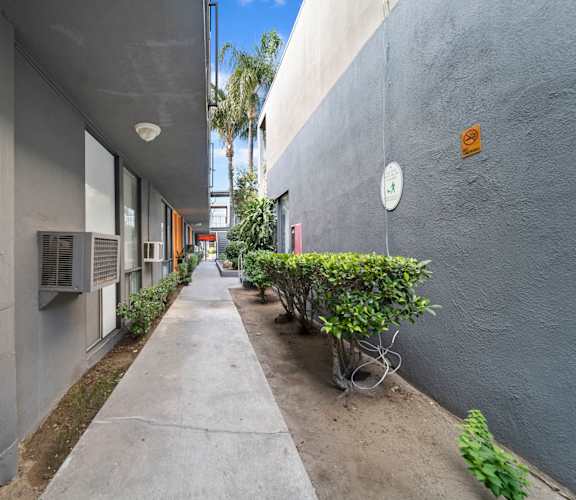 A long, narrow walkway between two grey walls with a small green bush on the right.