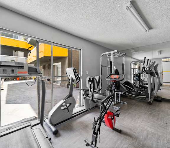 A gym with a variety of equipment including a treadmill, weights, and a bench press.