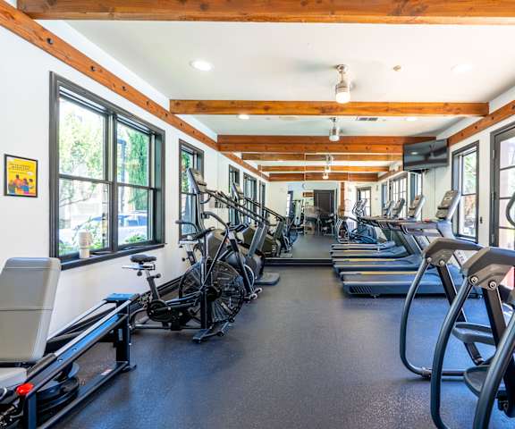 A gym with treadmills, elliptical machines, and a rowing machine.