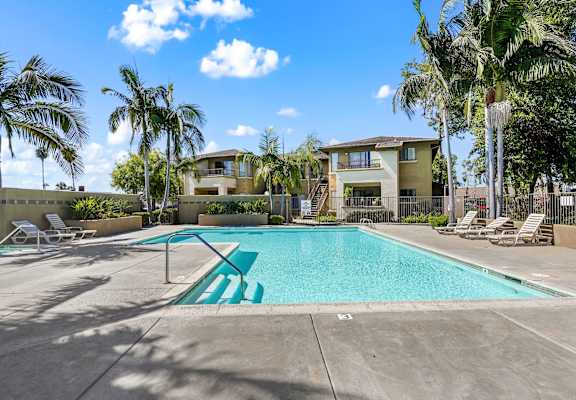a swimming pool with palm trees and a house in the background