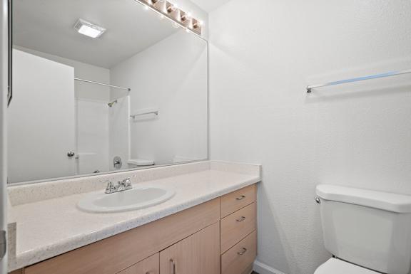 the preserve at ballantyne commons apartment bathroom with sink and toilet