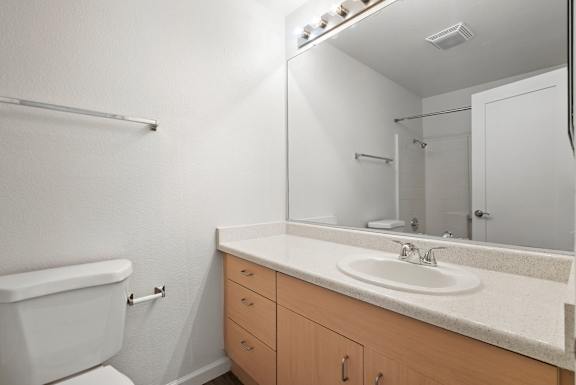 the preserve at ballantyne commons bathroom with sink mirror and toilet