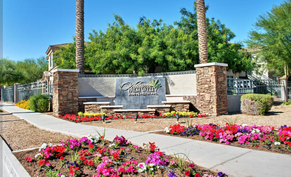 Adiamo Palm Valley Apartments In Goodyear Az