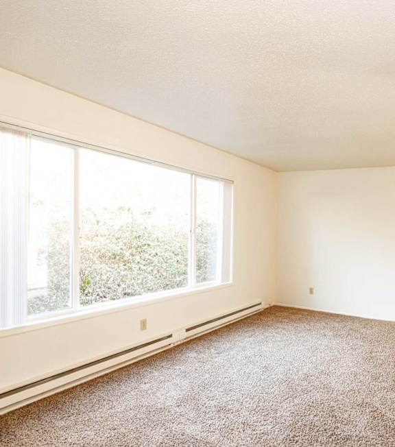 Empty room with carpeted floor and large windows.