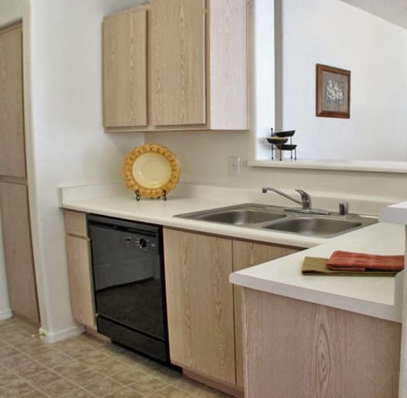 a small kitchen with a sink and a dishwasher