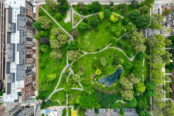 a park with trees and a pond in the middle of a city