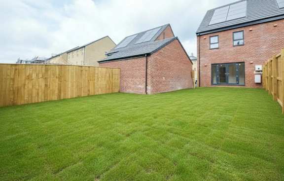 A backyard with a wooden fence and a green lawn.