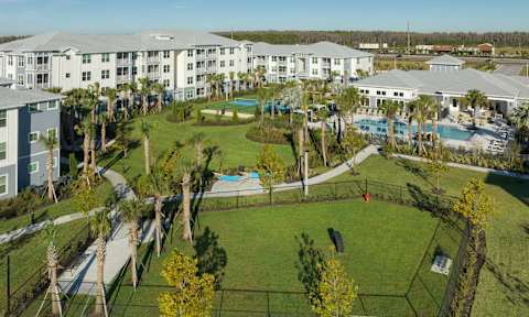 Apartments with Dog Park at The Gallery Luxury Apartments in Trinity FL