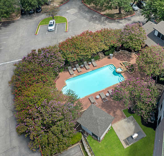 A swimming pool surrounded by trees