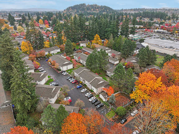 A small town with a lot of trees and a parking lot.