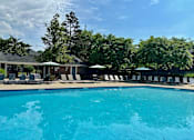 Thumbnail 15 of 21 - A large gated swimming pool surrounded by lounge chairs, umbrellas, and tall trees.
