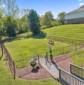 Aerial View of Dog Park