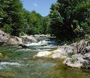A river flows through a rocky landscape surrounded by green trees.