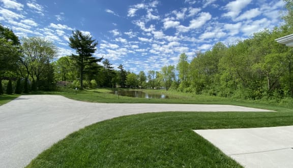 a driveway leading to a pond with trees in the background
