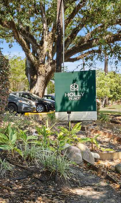 A green sign with the text "HOLLY" is in front of a tree.