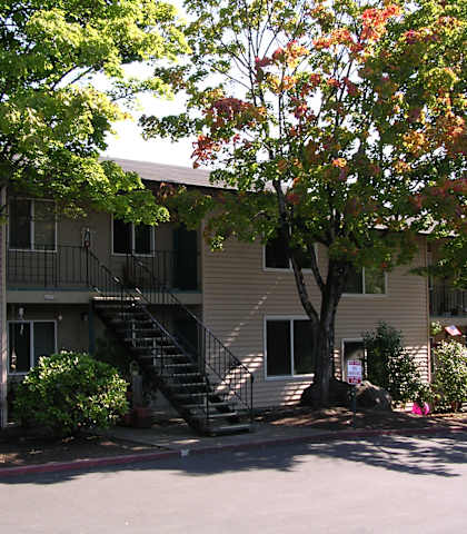 Apartment complex with a tree in front of it.