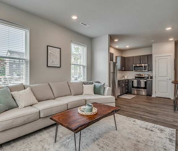 Spacious Living Area with Wood-Style Flooring