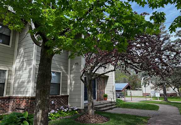 A tree with green leaves is in front of a house.