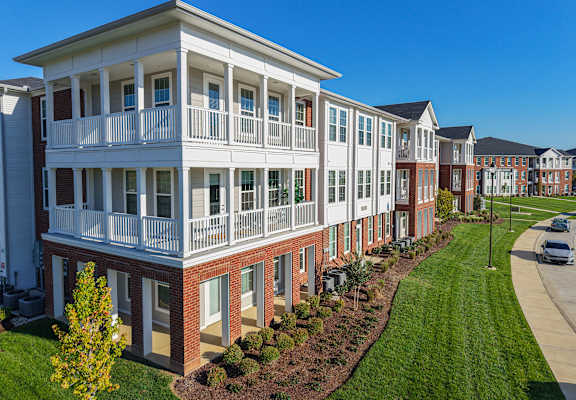 A row of townhouses with a tree in front of the first one.