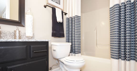 a bathroom with a shower curtain and a toilet and a sink