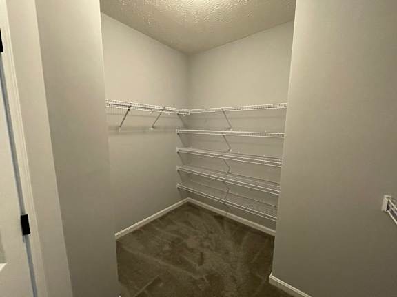 A walk in closet with white shelves and a grey carpet.