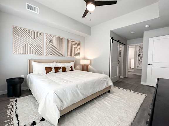 Main bedroom, closet and bathroom entrance in model