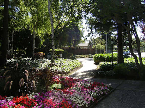 Wooded Pathway