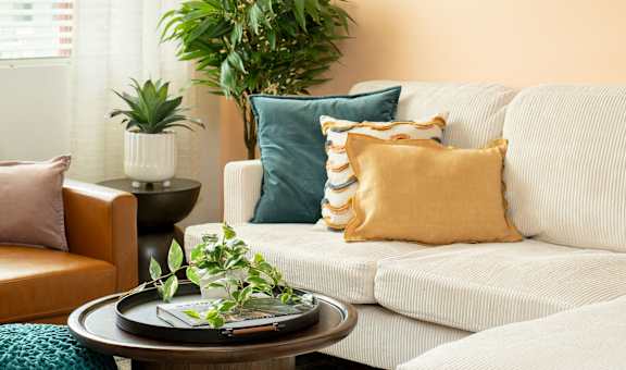 A living room with a white couch, a coffee table, and a potted plant.