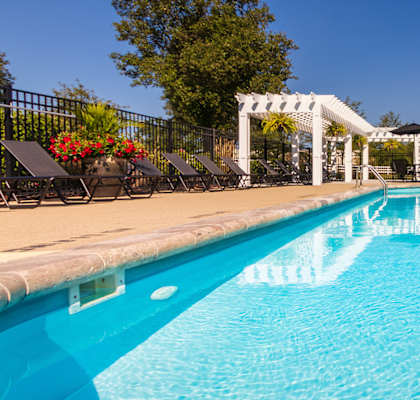 A large swimming pool with a white pergola over it.