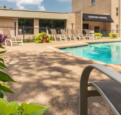 This is a photo of the pool area in the courtyard at Harvard Square Apartments, in the Vickery Meadow neighborhood of Dallas, TX.