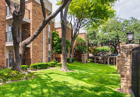 A tree in front of a building with a black fence on the right.
