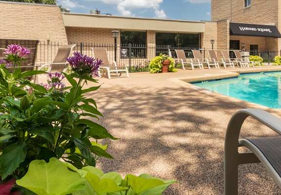 This is a photo of the pool area in the courtyard at Harvard Square Apartments, in the Vickery Meadow neighborhood of Dallas, TX.