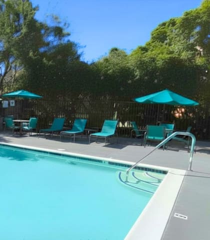 A large swimming pool surrounded by trees and lounge chairs.