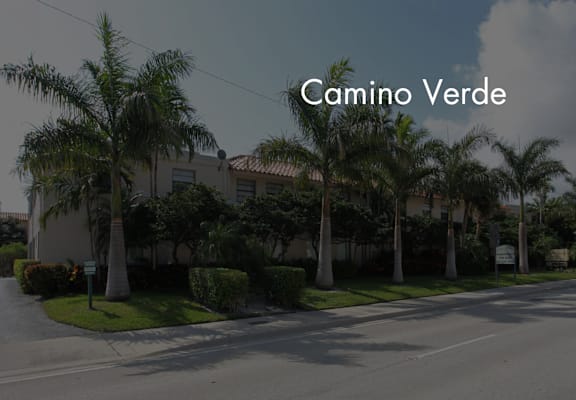 a street with palm trees in front of an apartment building