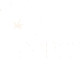 A white poppy flower on a black background.