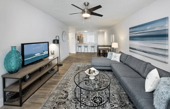 A living room with a grey couch, a coffee table, and a television.