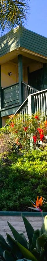 a house with a porch and a yard with flowers