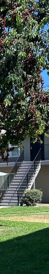 a building with stairs and a tree in front of it