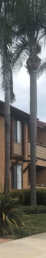a building with two palm trees in front of it