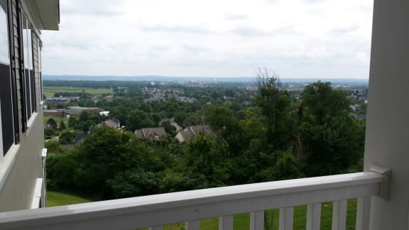view from VistaView apartments in Frederick, MD  with trees surrounding at VistaView, Frederick, MD, 21702