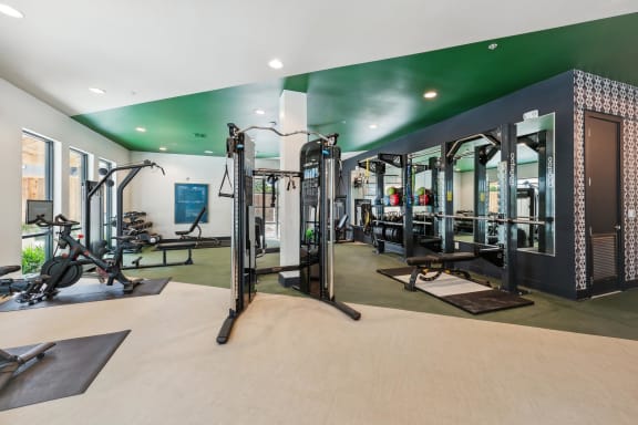 a gym with weights and cardio equipment in a home with a green ceiling