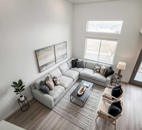 A living room with a grey couch, a coffee table, and a potted plant.