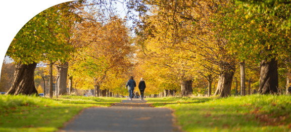 a couple walking their dog down a path in a park