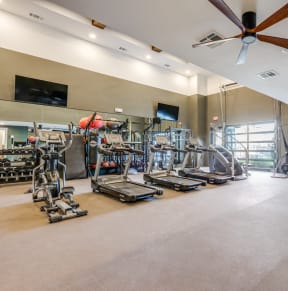 the gym at 1861 muleshoe road