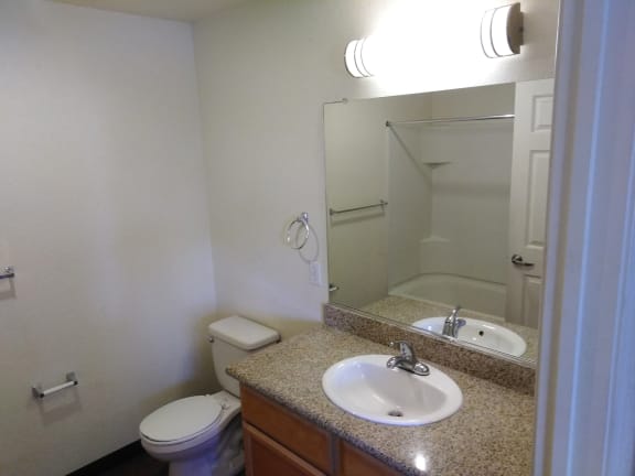 Bathroom with large mirror