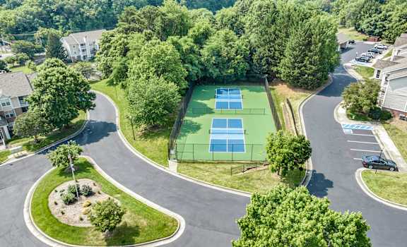 A pickleball court is surrounded by trees and a road. at Sunscape Apartments, Roanoke, 24018