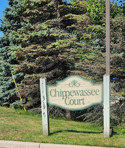 A green sign that says Chippewassee Court stands in front of a tree.