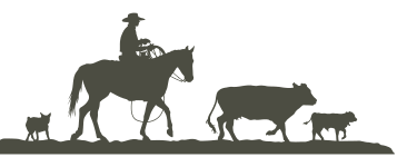 a silhouette of a cowboy on a horse with cows